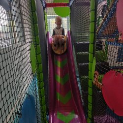 Dalmatians go to Chamwell Centre