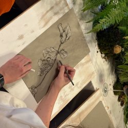 Drawn Together: Sotto Bosco with Lily Buchanan
