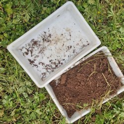 Soil Sampling training: Learn to Read Your Soil