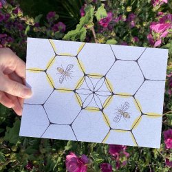 Geometry in Nature: From Seed to Honeycomb