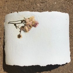 Papermaking-- Fall Equinox edition