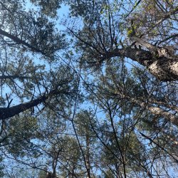 Atlanta to Alabama Bikepacking Trip