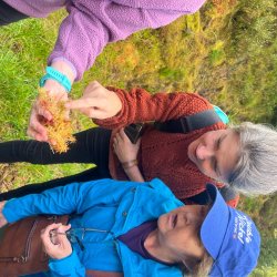 Shared Bogs, Shared future – Stories from the Peatlands