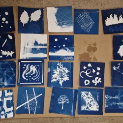 Solstice Sun Prints