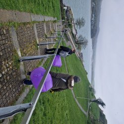 Some local residents litter picking on a drizzly day on Mount Wise.