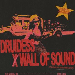 Druidess x WALL OF SOUND