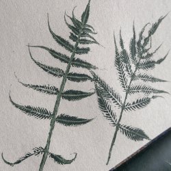 Botanical screen printing workshop