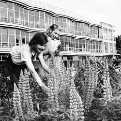 Black and white photo of women gardening in front of Pioneer Building in Peckham