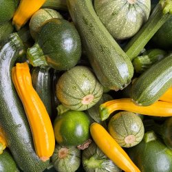Laurelbank Farm CSA Membership (1st month's trial)