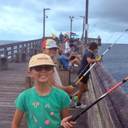🎣 Hook, Line, and Science!