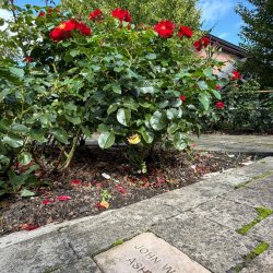 The Walkway of Care - Dedicate a memory stone - create a lasting tribute