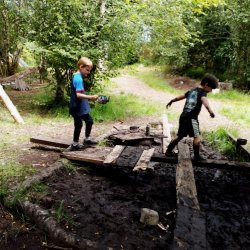 Summer Nature Camp (August)