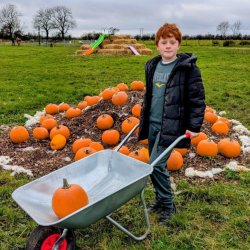 Pumpkin Experience