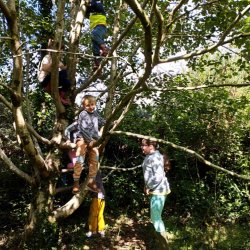 Sneem Summer Festival - Forest School Experience