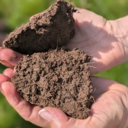 Soil Health in Practice: Field Indicators, Soil Biology & Management