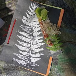 Donadea Forest School After School Winter term 2026