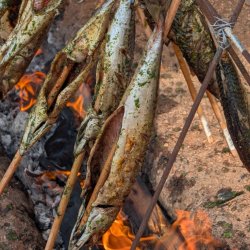 Fish, Bread & Wine