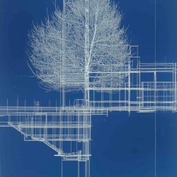 T54. Hybrid Herbarium: Cyanotype & AI Cartographies with paula roush