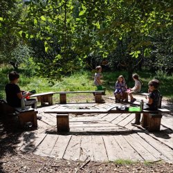 Summer Nature Camp (July)