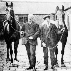 Heritage Walks - Upleatham Mine