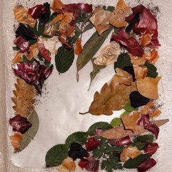 Eco-printing on fabric – let the plants do the work