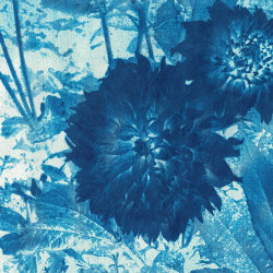 Sun Printing, summer holiday workshop - for young people 7 - 14