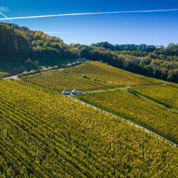 Domaine Pignier tasting