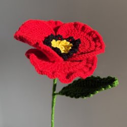 Crochet Flower Bouquet - Poppy! - 2 part Workshop!