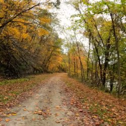 3-day Weekend PA Easy Bikepacking Adventure