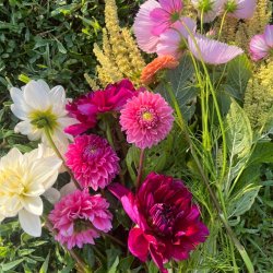 flowers