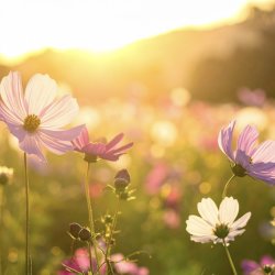 Spring Equinox Class (studio)