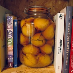 WORKSHOP: Make Your Own Vinegar