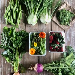 Laurelbank Farm CSA Membership (1st month's trial)