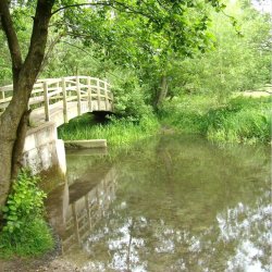 Broken Bridges