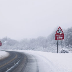 Winter Driving Essentials