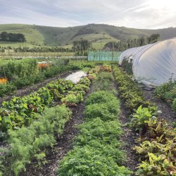 Lovebrook Seed Savers- November Meet up