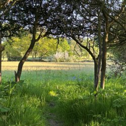 Volunteer Work Day: Carr House Meadows