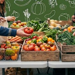 Free Produce Market at Huntsville Family Health Center