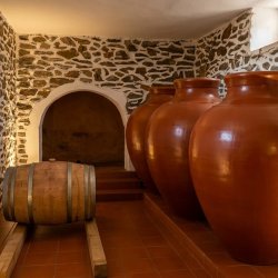A glass of red amphora wine placed on a rustic wooden table, surrounded by fresh grapes, figs, and other seasonal fruits, creating a warm and inviting atmosphere.