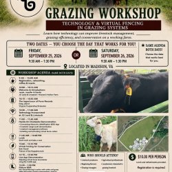 Technology and Virtual Fencing in Grazing Systems Workshop