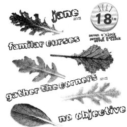 Jane, Familiar Curses, No Objective