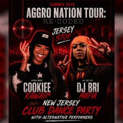 Aggro Nation Tour CreateLadyJ