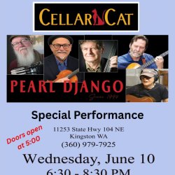 PEARL DJANGO PLAYS CELLAR CAT!!
