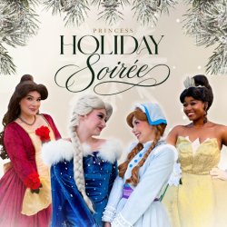 Princess Holiday Soirée