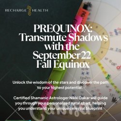 PREQUINOX: Transmute Shadows