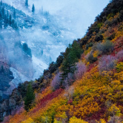A photograph of some mountains showing autumnal and winter colours