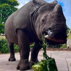 Tea and Talks: Enrichment in Action