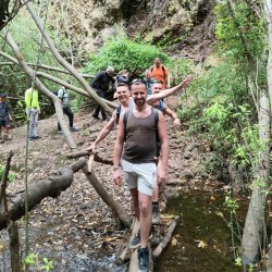The Rainforest - Island Tour