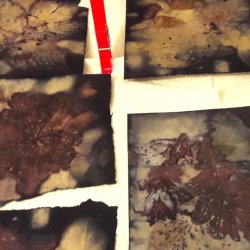 Plant Alchemy - Eco-printing with Plants on Paper