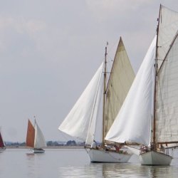 OGA East Coast Race 2018 by Beverley Yates